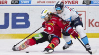 hokej pardubice2 8X8A8578